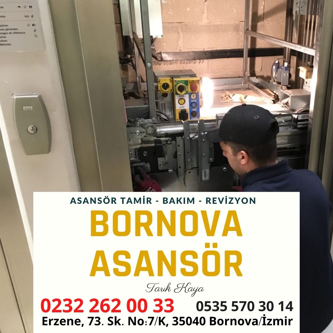 bornova-asansör-firmalari